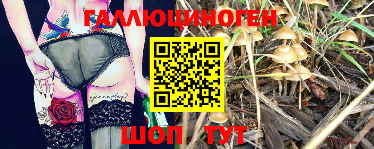 Галлюциногенные грибы ЛСД Похвистнево